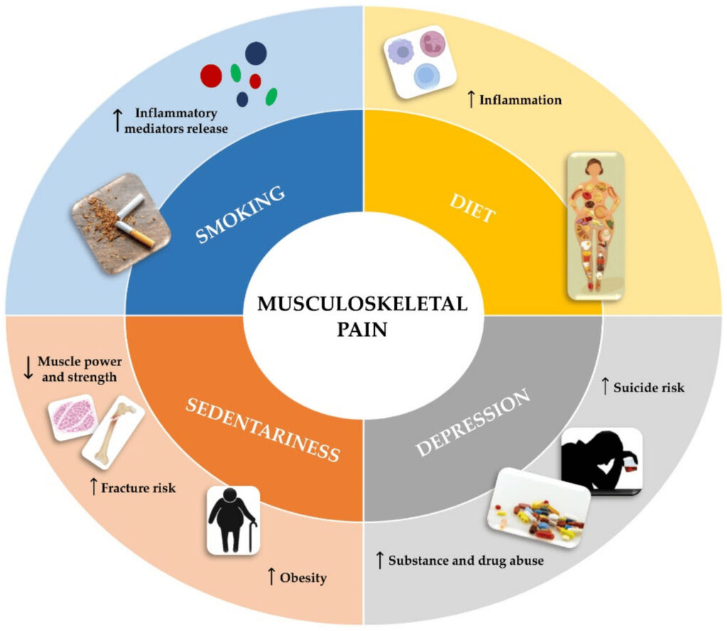 Causes Musculoskeletal Disorders